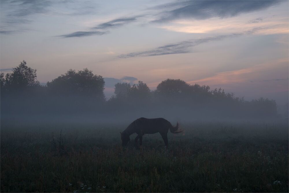 dawn story...