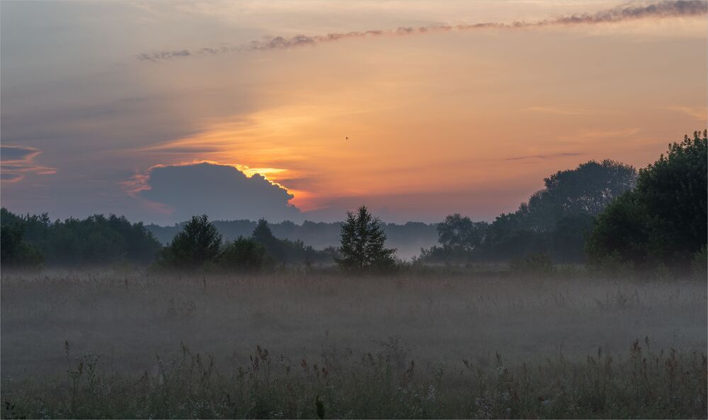 dawn story...