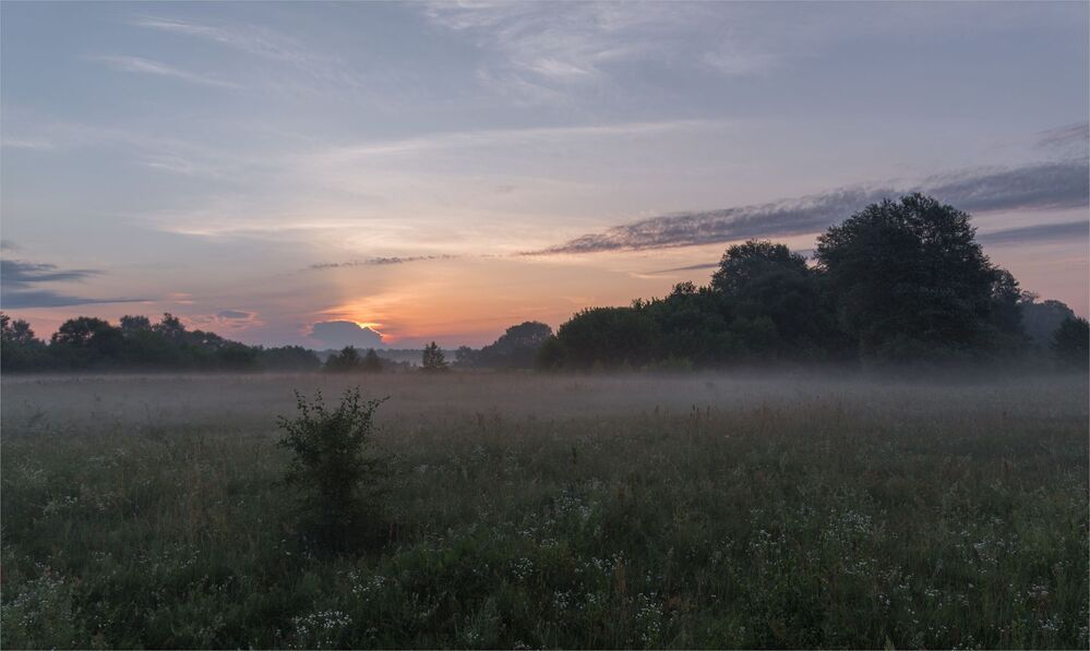 dawn story...