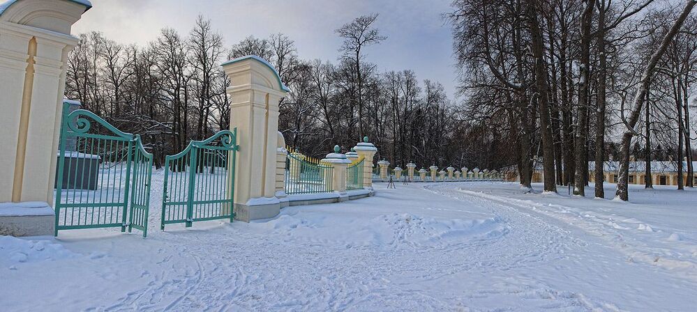 Понравились жизнерадостно свежевыкрашенные ворота с затейливой оградой