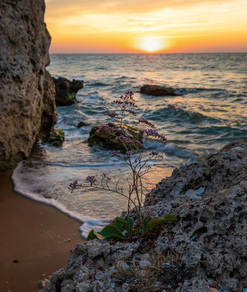 Азовское море