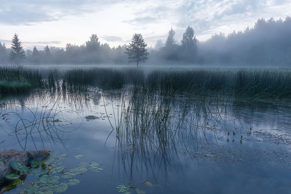 Photo 1752435