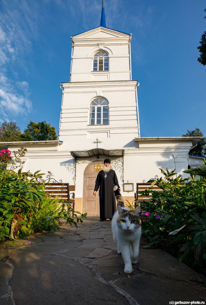 Православные коты
