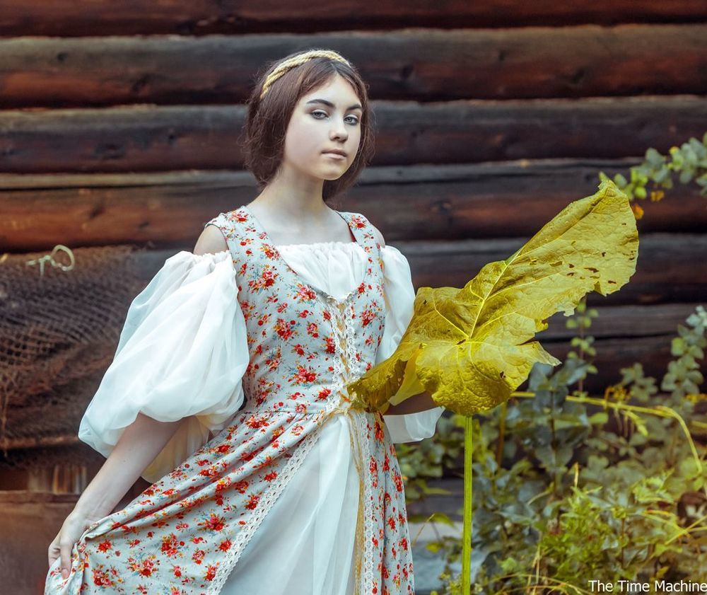 Лопухи