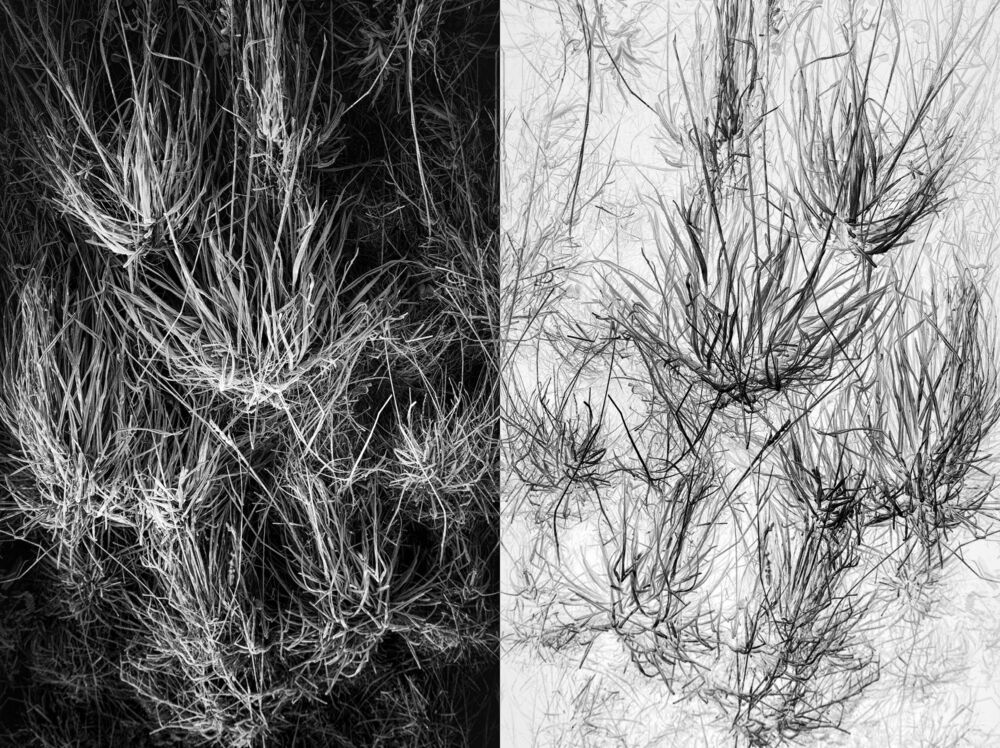 The inverted world