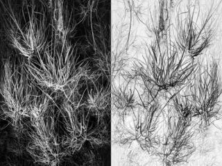 The photographs present abstract coastal landscapes, which I captured in different regions of the world. 