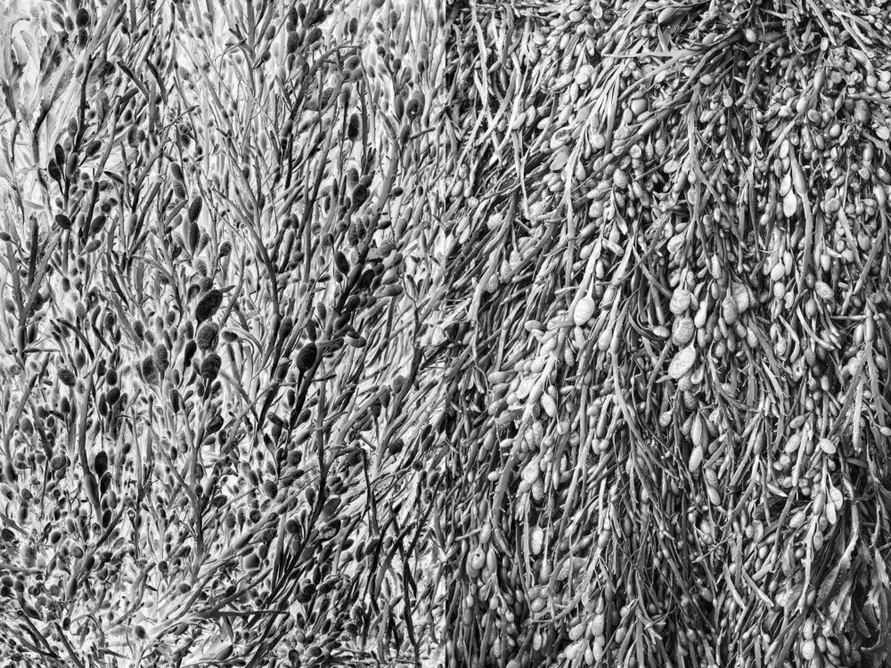The photographs&nbsp;present abstract coastal landscapes, which I captured in different regions of the world.&nbsp;