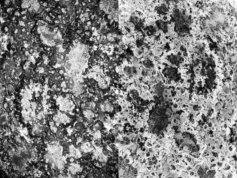 The photographs&nbsp;present abstract coastal landscapes, which I captured in different regions of the world.&nbsp;