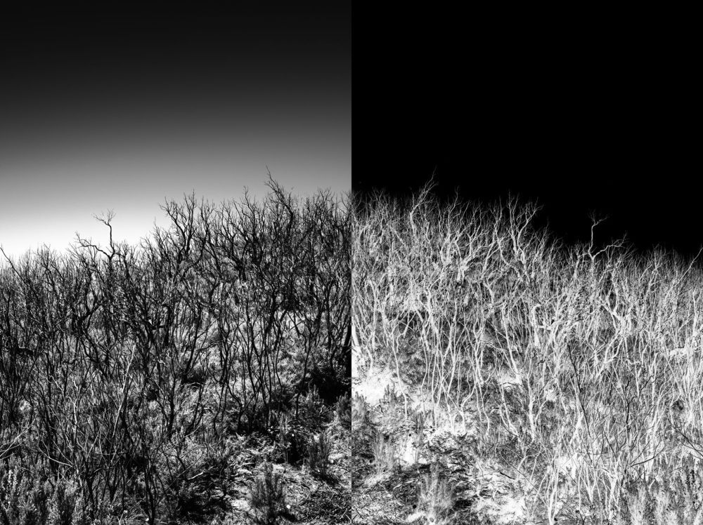 The photographs&nbsp;present abstract coastal landscapes, which I captured in different regions of the world.&nbsp;
