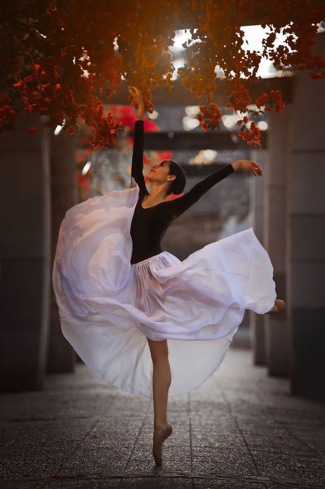 Ballet inspiration