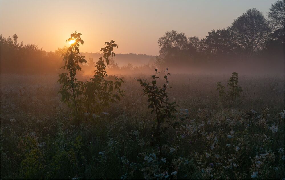 рассветные зарисовки...