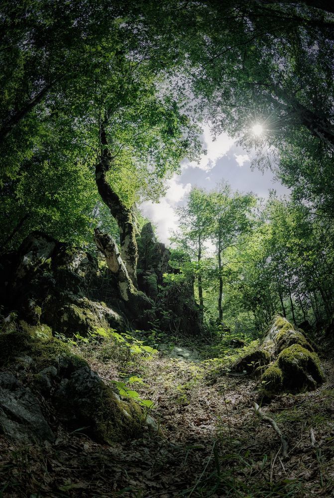 Nature first