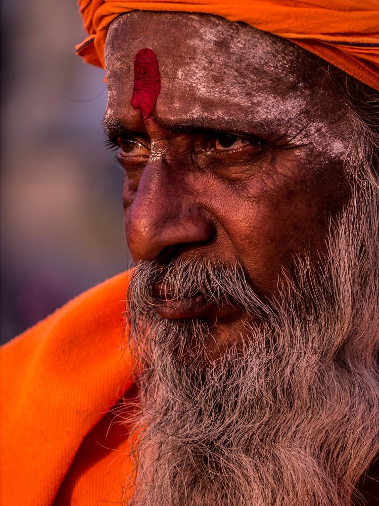 The sadhu