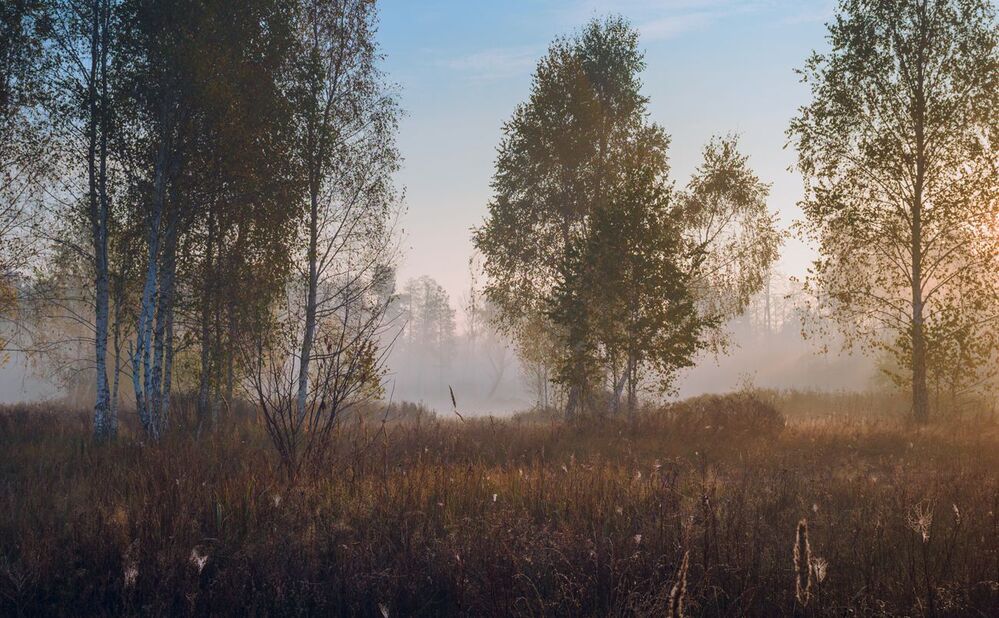 Наедине с рассветом