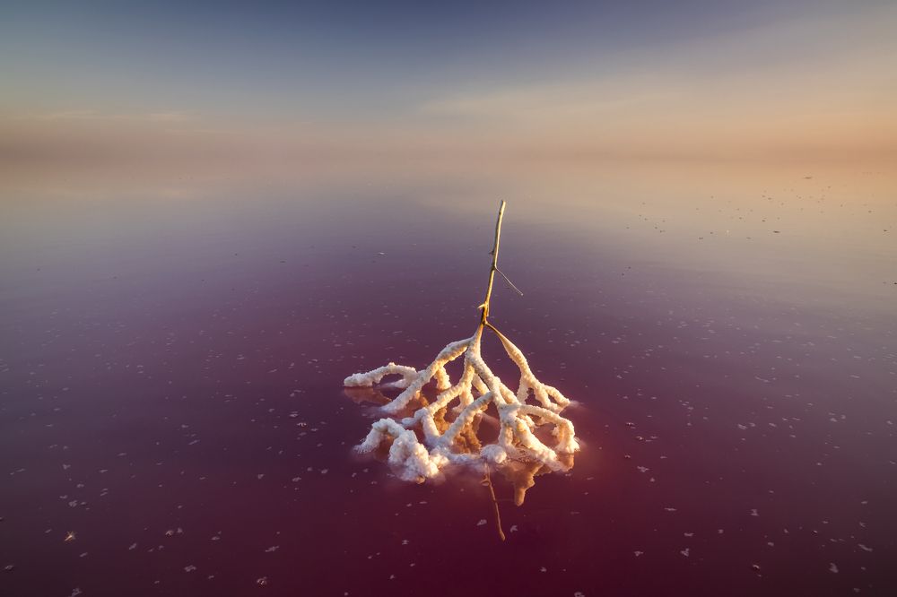 Невесомость