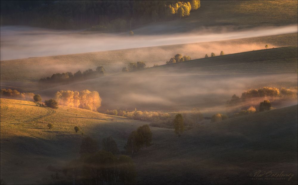 Березовая осень