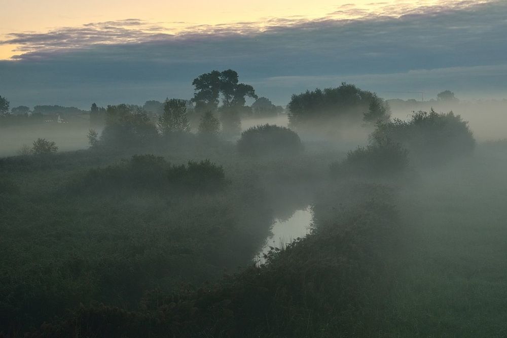 My region this morning.