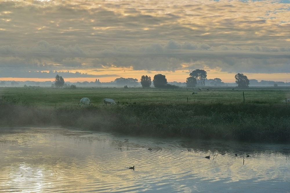 My region this morning.