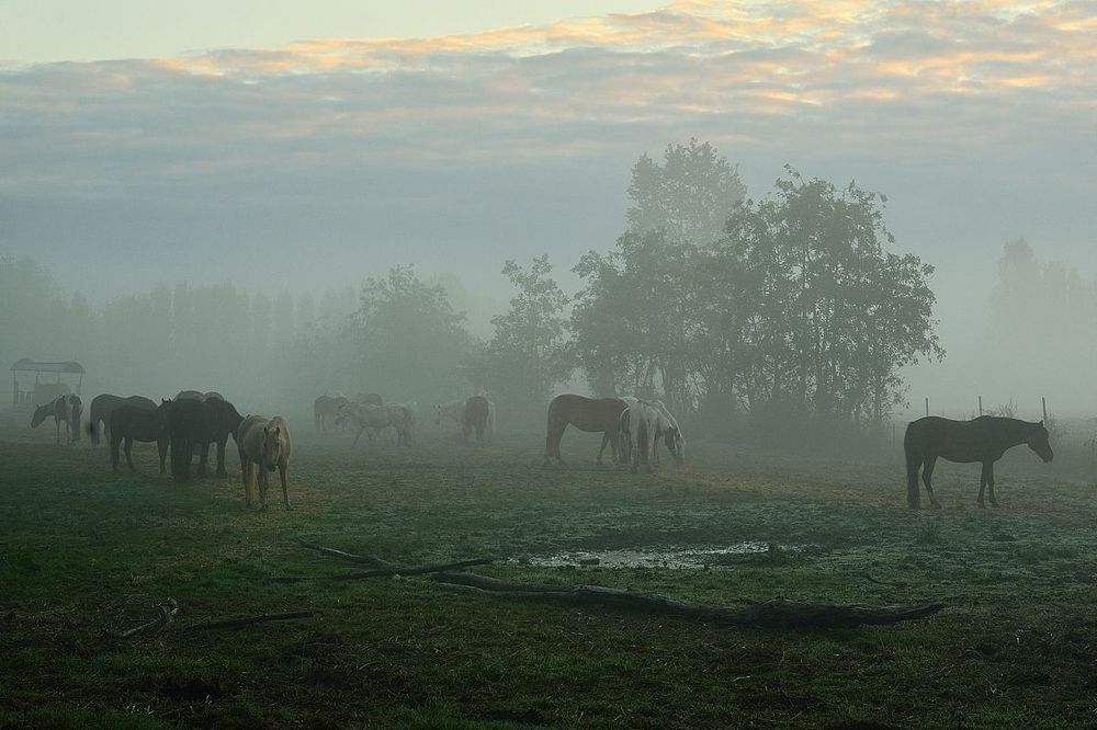 My region this morning.