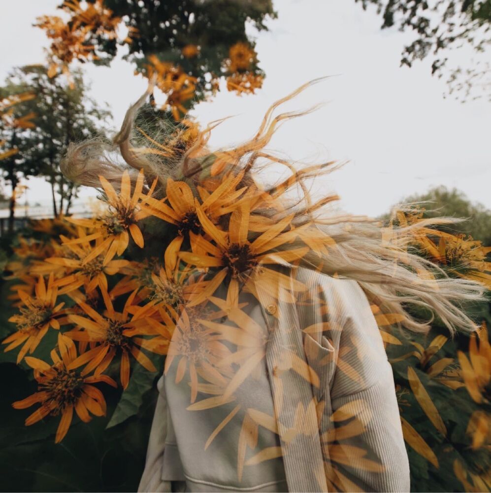 Photo 1767204