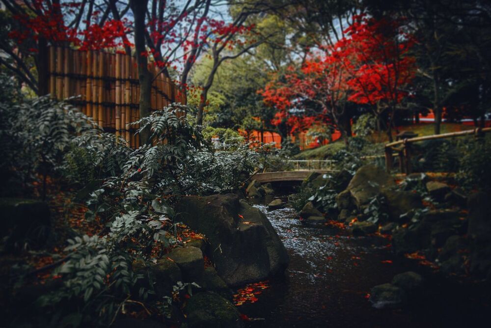 Park at Yokohama Arena