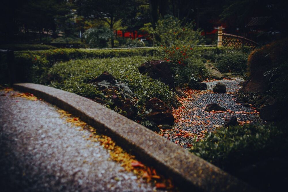 Park at Yokohama Arena