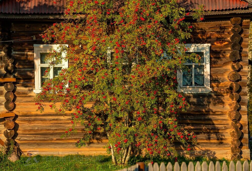 Вепсские деревни