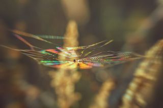 Колыбель разноцветных снов...