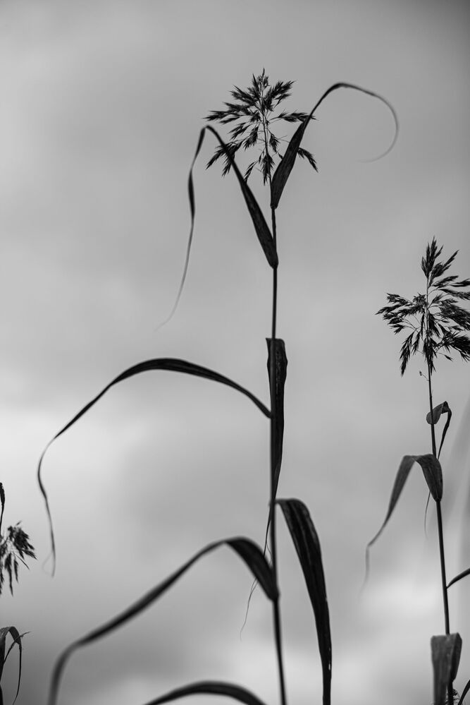 Photo 1767973