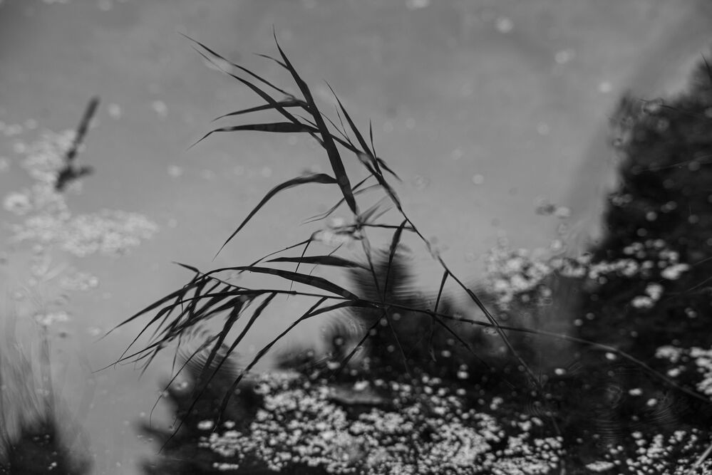 Photo 1767974