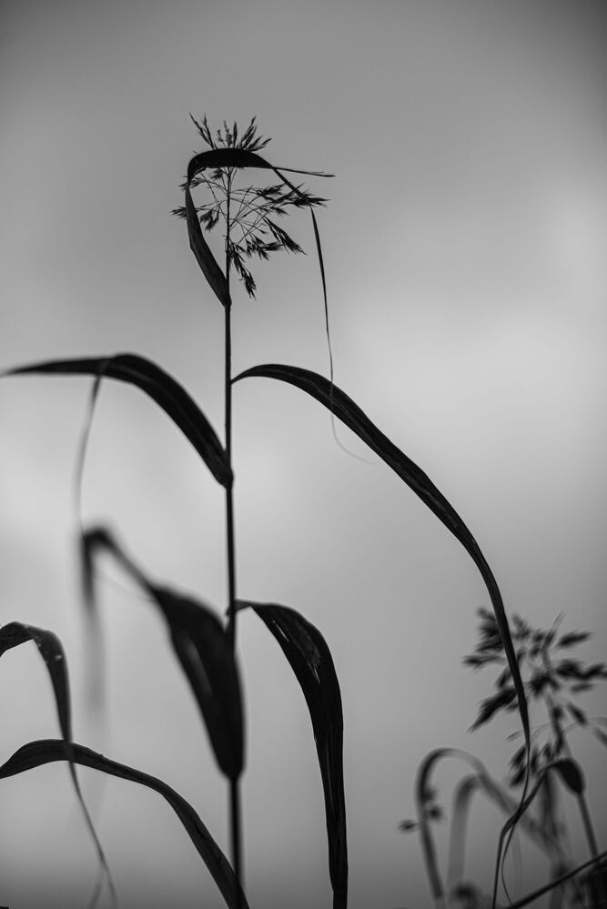 Photo 1767975