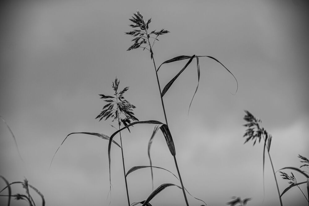 Photo 1767976