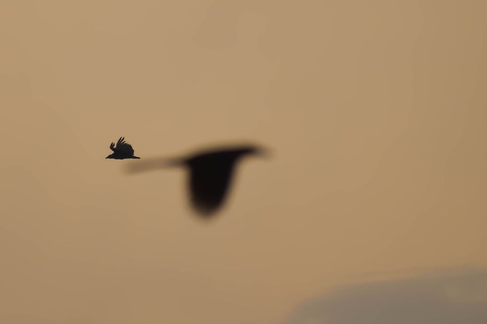 A look beyond the visible