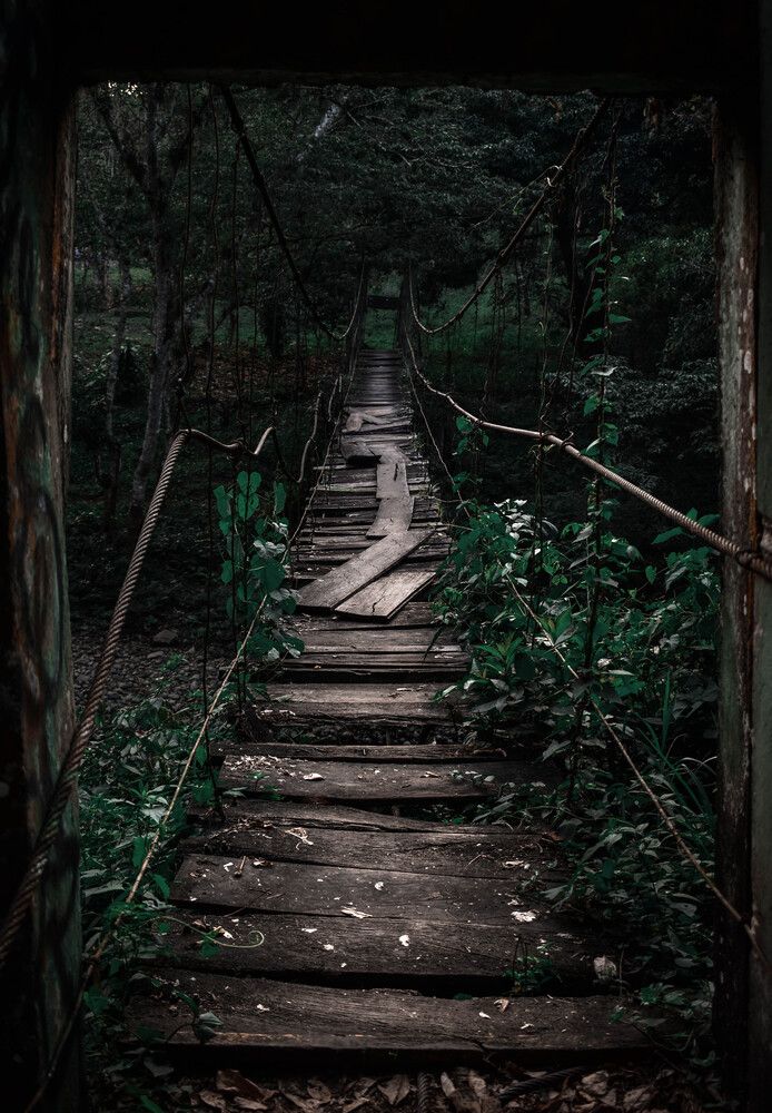 A look beyond the visible