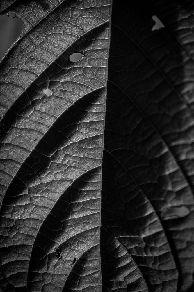 A look beyond the visible