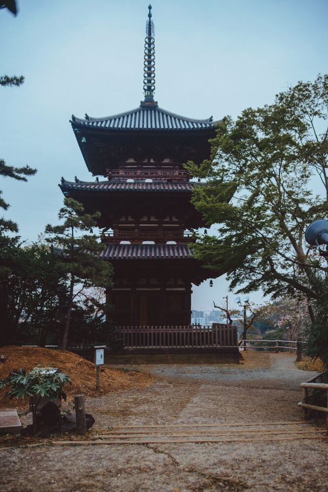 Pagoda in Sankeien garden
