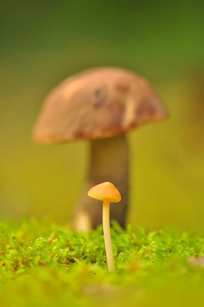 Малыш :)