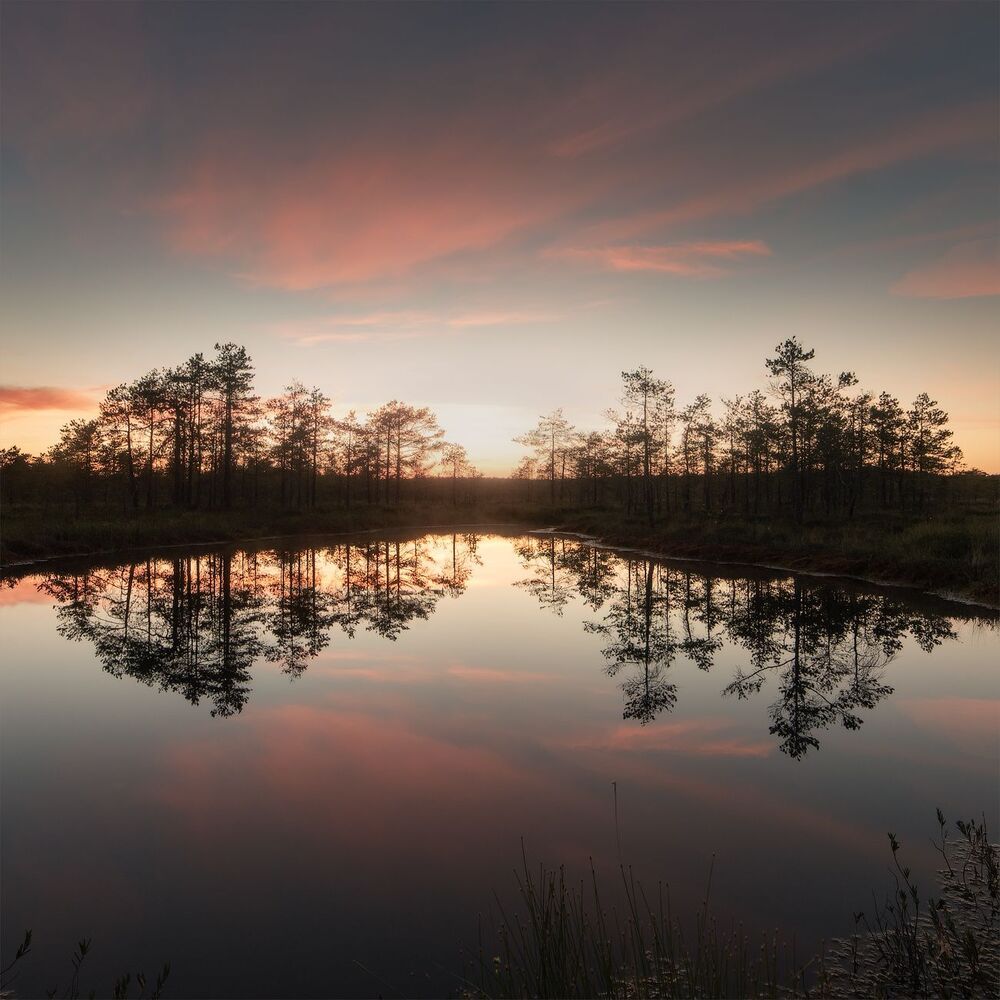 Reflection collection