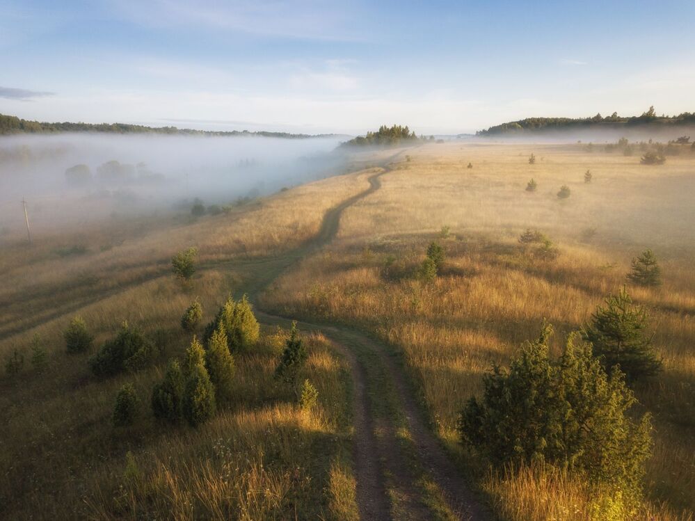 Утро в долине