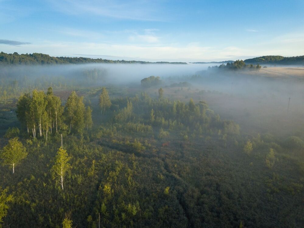 Утро в долине