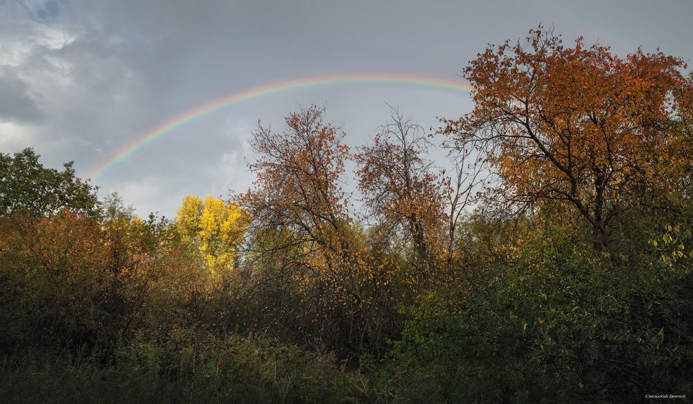 Радужная осень