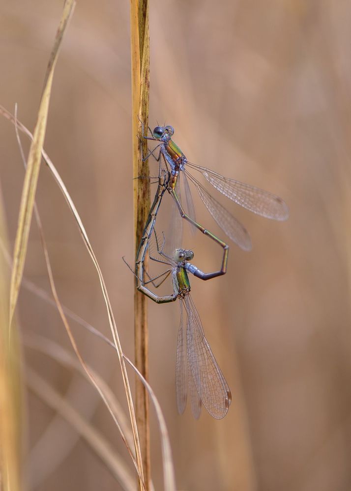 Photo 1773574