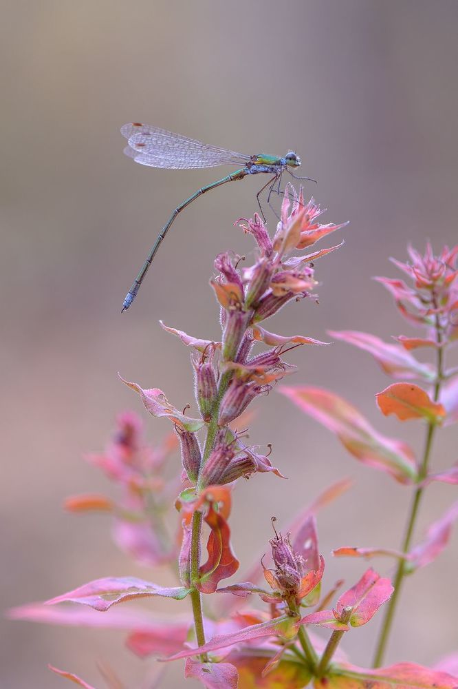 Photo 1773577