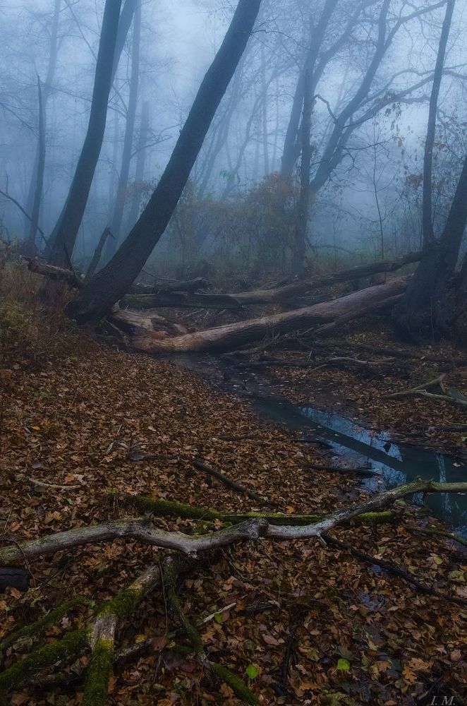 "бурелом"