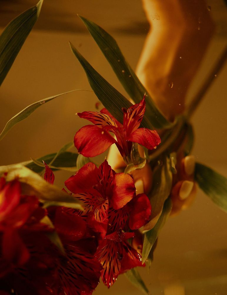 Photo 1774571