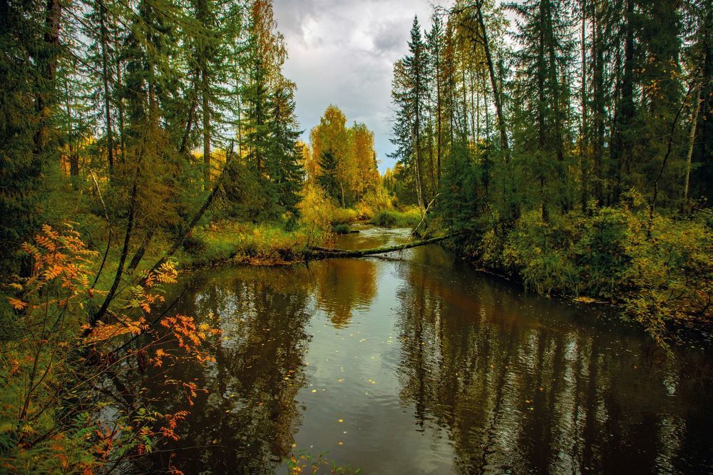 Осень в Печоре