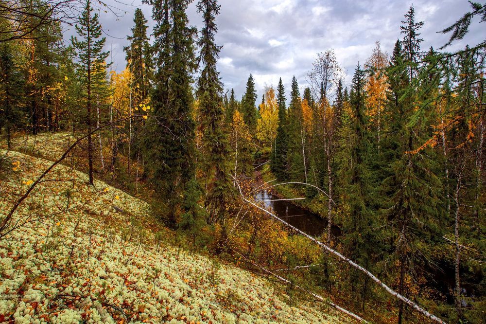 Осень в Печоре