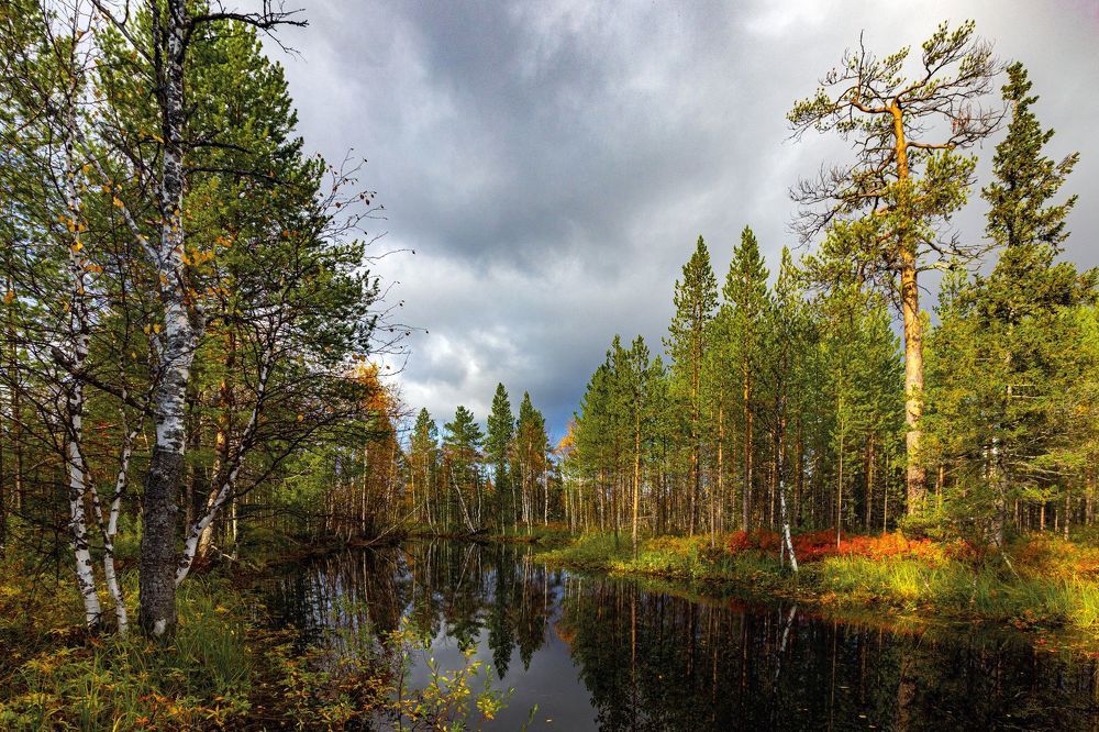 Осень в Печоре