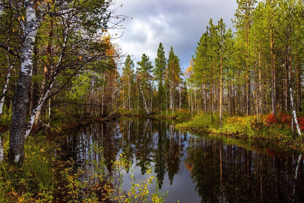 Осень в Печоре