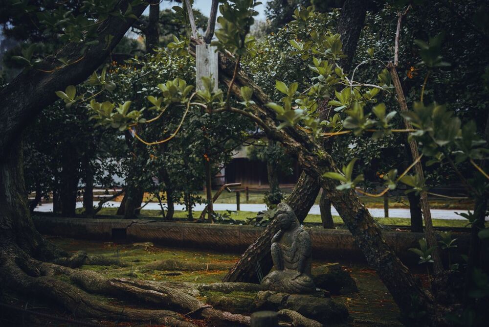 Japanese Garden